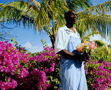 о. Эльютера, Багамские острова