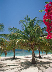 Ангилья, Ангилья