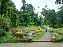 Ботанический сад