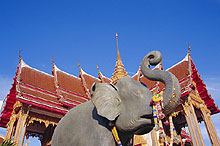 Остров Пхукет, Тайланд