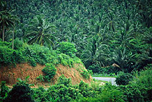 Остров Пхукет, Тайланд