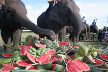 Остров Самуи, Тайланд