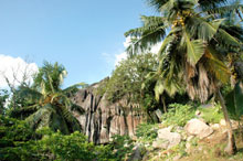 Остров Аноним, Сейшельские острова