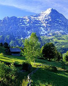 Гриндельвальд, Швейцария