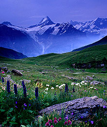 Гриндельвальд, Швейцария