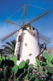 Остров Тенерифе, Канарские острова