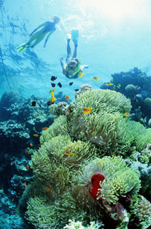 Эйлат, Израиль