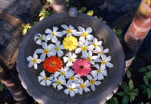 Остров Себу (Cebu Island), Филиппины