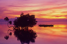   (Bohol Island), 