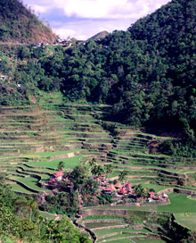 Остров Лусон (Luzon Island), Филиппины