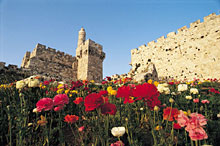 Иерусалим, Израиль