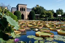 Зоологическо-ботанический сад Вильгельма