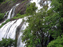 Керала, Индия