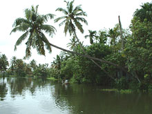 Керала, Индия