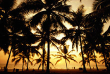 Ковалам, Индия