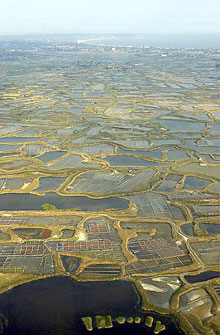 Ля Боль, Франция