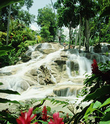 Очо Риос, Ямайка