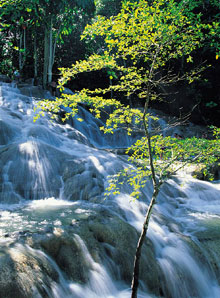 Очо Риос, Ямайка