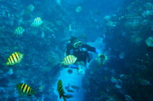 Монтего Бей (Montego Bay), Ямайка