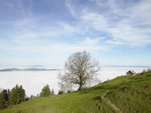 Давос, Швейцария