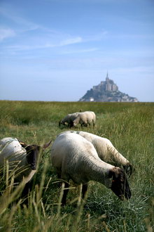 Мон Сен-Мишель, Франция