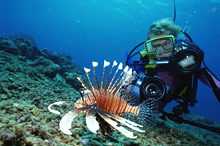 Остров Ломбок, Индонезия