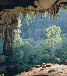 Остров Борнео, Малайзия