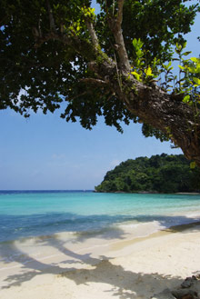 Восточное побережье, Малайзия