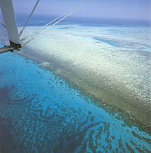 Эль Гуна, Египет