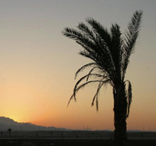 Сафага, Египет