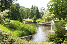 Марианские Лазне, Чехия