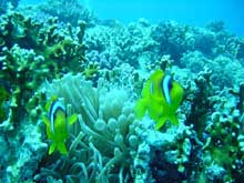 Хургада, Египет