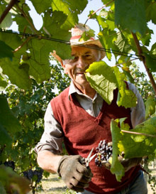 Пьемонт, Италия