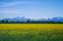 Пьемонт, Италия