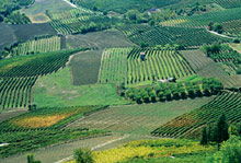 Пьемонт, Италия