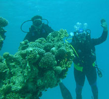 Хургада, Египет