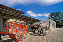 Сан-Хосе, Коста-Рика