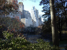 Нью-Йорк, США