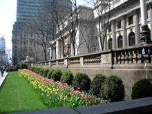 Нью-Йорк, США