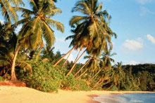 Остров Маэ (Mahe Island), Сейшельские острова