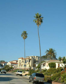 Лос-Анджелес, США