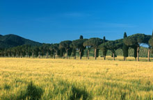 Тоскана, Италия