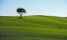 Тоскана, Италия