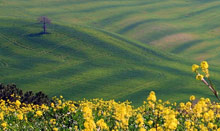 Тоскана, Италия