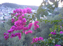 Остров Эвбея (Эвия), Греция