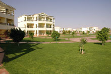 Макади Бей, Египет