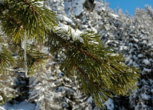 Валь д`Изер (Val d`Isere), Франция