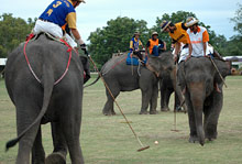 Остров Самуи, Тайланд
