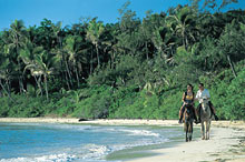 Остров Тартл, Фиджи