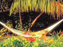 Остров Тартл, Фиджи